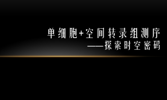 未來已來——單細胞測序聯(lián)合空間轉(zhuǎn)錄組測序（整合篇）