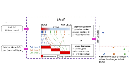 LRcell：從RNA-seq數(shù)據(jù)中在亞細胞水平上檢測差異表達來源