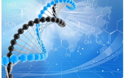 小身體，大能量：Top期刊下的癌癥微生物