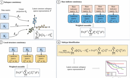 十月最新癌癥亞型分類算法subtype-weslr:用多視圖數(shù)據(jù)的加權(quán)集合稀疏潛在表示來識別癌癥亞型