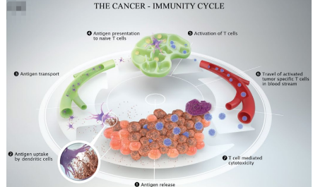 爆點(diǎn)鎖定：腫瘤的免疫逃逸，究竟誰在搗鬼？