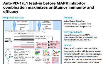 1+1>2?在MAPK抑制劑聯(lián)合使用前引入抗pd -1/L1可最大限度地提高抗腫瘤免疫和療效