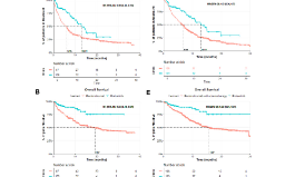 SXR202206024C+非小細(xì)胞肺癌的臨床實效研究[outcomes research]