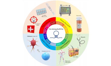 循環(huán)lncRNA：癌癥早篩的hope