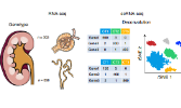 Nature Genetics高分燒腦研究，基因組對潛在藥物治療的關鍵作用