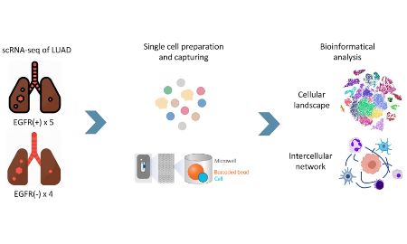 SXR202202010C 課題還沒有思路？scRNA-seq結(jié)合常見突變的研究策略