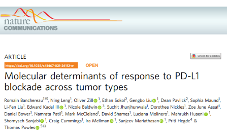 Nature子刊|辯證看待PD-1PD -L1免疫治療標志物