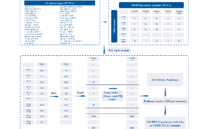 SXR202205021C+泛癌分析中的通路活性算法開(kāi)發(fā)