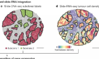 Nature 瘤內異質性的高分辨率多組學表征