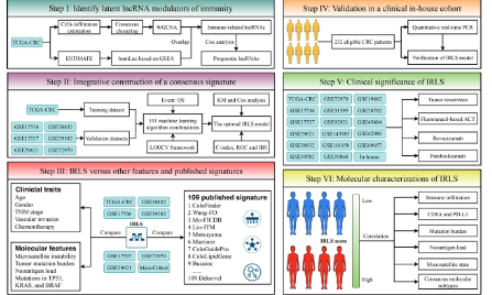 SXR202202007C+結(jié)直腸癌預(yù)后的免疫相關(guān) lncRNA 特征