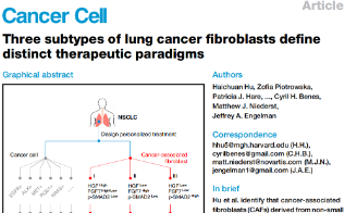 個體化治療新思路--肺癌相關成纖維細胞的亞型分類定義了新的治療模式
