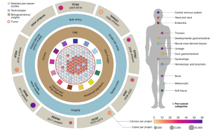 泛癌研究從基礎(chǔ)研究走向臨床