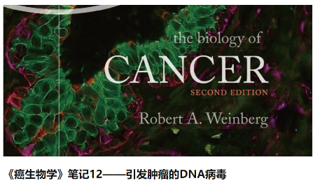 SXR202202011C 病毒腫瘤數(shù)據(jù)庫-OncoDB 2022版已上線，速來圍觀！