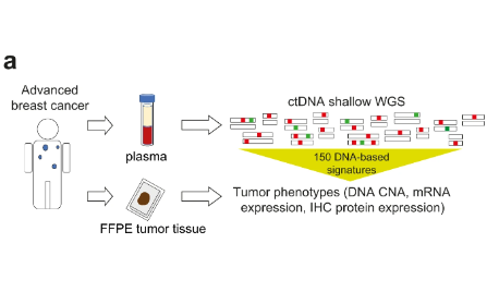 SXR2023040006B-“滴血驗癌”之ctDNA如何真正發(fā)揮臨床價值？