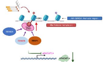 Oncogene|干濕結(jié)合又能蹭熱點(diǎn)，就這么干！