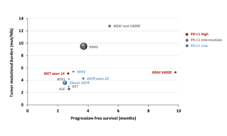 13+生信文章：腫瘤突變負荷+癌基因改變+預后差異