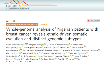 尼日利亞乳腺癌患者的全基因組分析揭示了種族驅(qū)動的體細胞進化和不同的基因組亞型