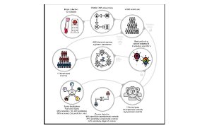 《Cancer Cell》腫瘤液體活檢新思路 血小板RNA