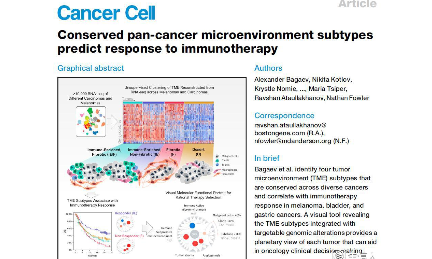 Cancer Cell: 泛癌微環(huán)境亞型可預測腫瘤對免疫治療的應答