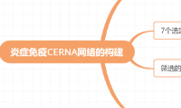 炎癥ceRNA網(wǎng)絡的構(gòu)建