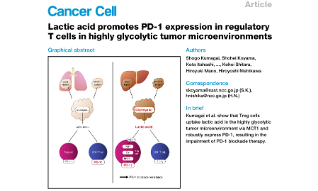 SXR202205028B Spotlight：腫瘤代謝組學(xué)與腫瘤免疫治療（Cancer Cell）