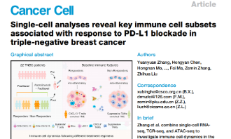 Cancer Cell|單細(xì)胞分析揭示了三陰性乳腺癌中與PD-L1阻斷反應(yīng)相關(guān)的關(guān)鍵免疫細(xì)胞亞群