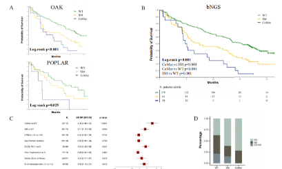 單基因純生信也能發(fā)32分?《ANNALS OF ONCOLOGY》keap1驅(qū)動的共突變在高腫瘤突變負(fù)荷下與免疫治療的關(guān)系