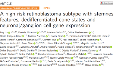 Nat Commun|多組學研究識別具有干性特征的高風險視網膜母細胞瘤亞型--去分化的錐體狀態(tài)以及神經元細胞基因表達