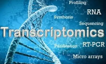 RNA 測序的指紋識別