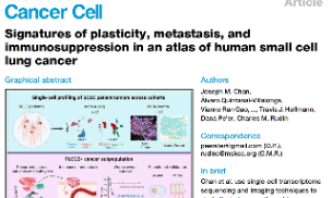 Cancer Cell|十一月最新干濕結(jié)合-肺癌免疫微環(huán)境亞型結(jié)合單細(xì)胞的腫瘤異質(zhì)性研究