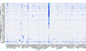 看過來~這是一篇癌癥中轉錄因子的全面分析