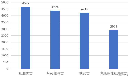 研究免疫原性細(xì)胞死亡的最好時(shí)機(jī)便是現(xiàn)在