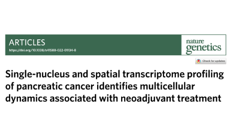胰腺癌的單核和空間轉(zhuǎn)錄組分析確定了與新輔助治療相關(guān)的多細(xì)胞動(dòng)態(tài)變化