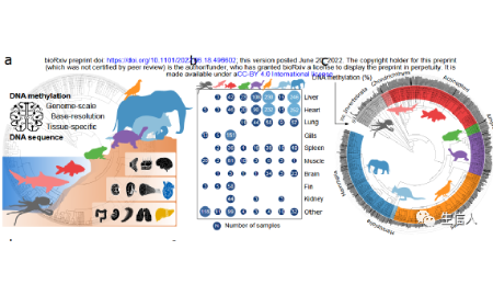 2022年6月biorxiv生信好文速覽