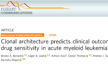 Nat Commun|克隆結構預測急性髓系白血病的臨床結果和藥物敏感性