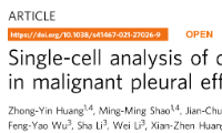 易得的樣本+單細(xì)胞測(cè)序分析=NATURE