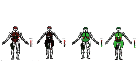 基于lncRNA的胰腺癌預(yù)后風(fēng)險(xiǎn)評(píng)估因素描繪跨泛癌水平的生物學(xué)功能